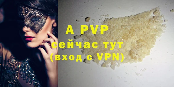 мет Алексин
