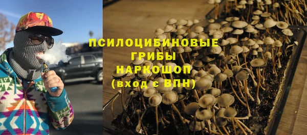 прущая мука Алзамай