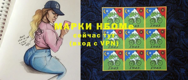 мет Алексин