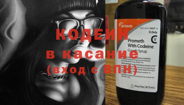 хмурый Осинники
