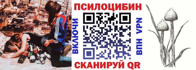 Псилоцибиновые грибы Psilocybine cubensis  Тосно 